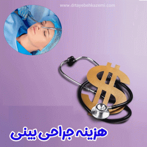 rhinoplasty cost - www.drtayebehkazemi.com